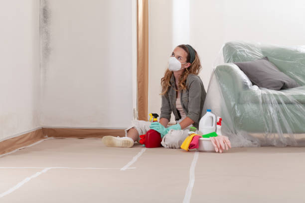 Reliable Commercial Mold Remediation contractor in Ardmore, PA by WQB Mold Removal